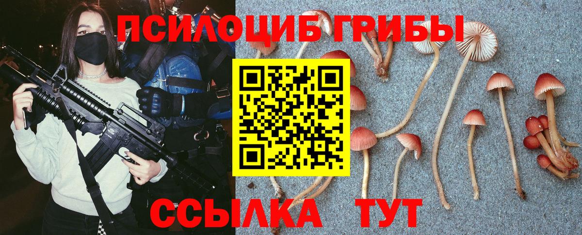 Отрадный  Псилоцибиновые грибы ЛСД  купить  сайты  Вход с VPN 